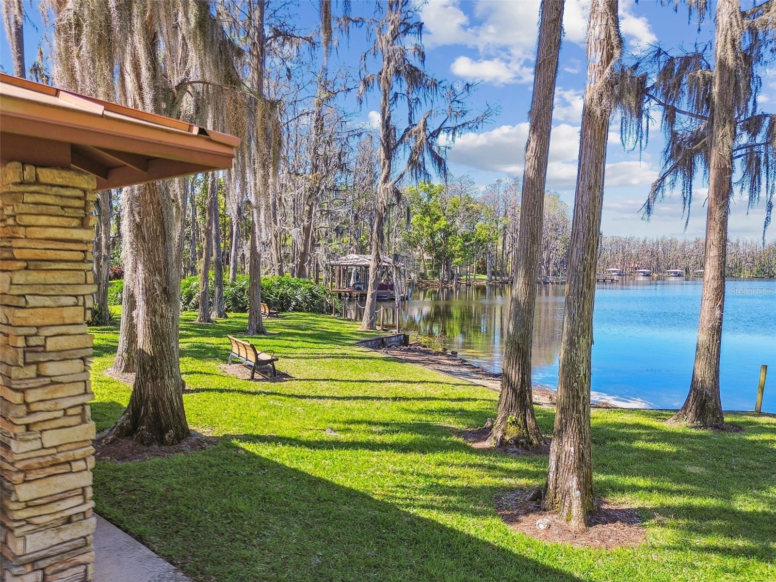 21001 Lake Vienna Drive Land O Lakes FL 34638 - BIG LAKE VIENNA TB8482676 image66