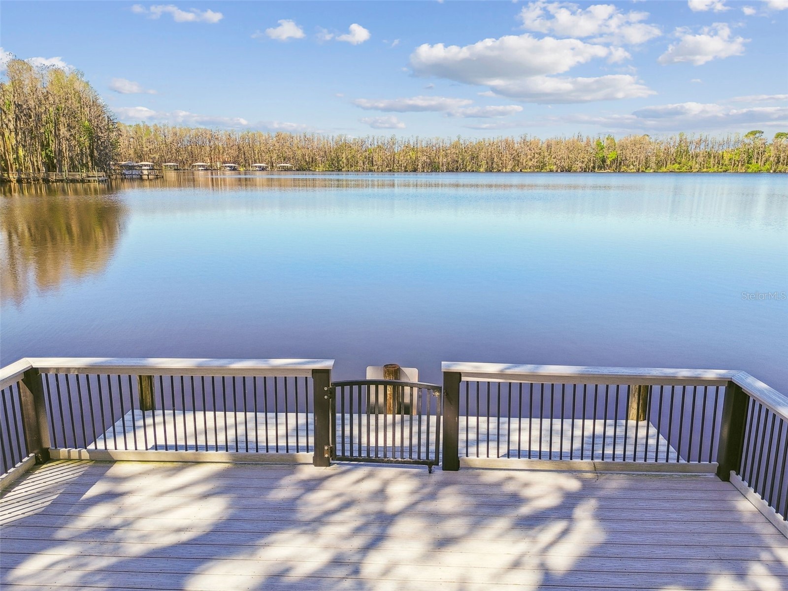 21001 Lake Vienna Drive Land O Lakes FL 34638 - BIG LAKE VIENNA TB8482676 image76