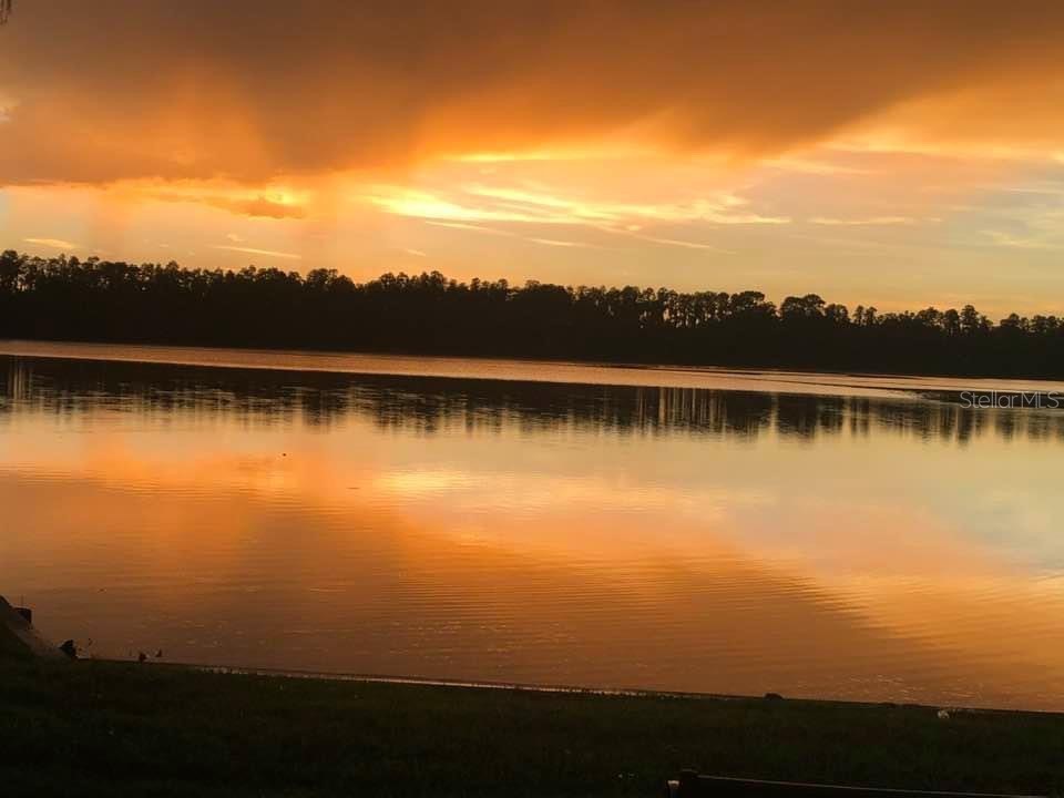 21001 Lake Vienna Drive Land O Lakes FL 34638 - BIG LAKE VIENNA TB8482676 image77