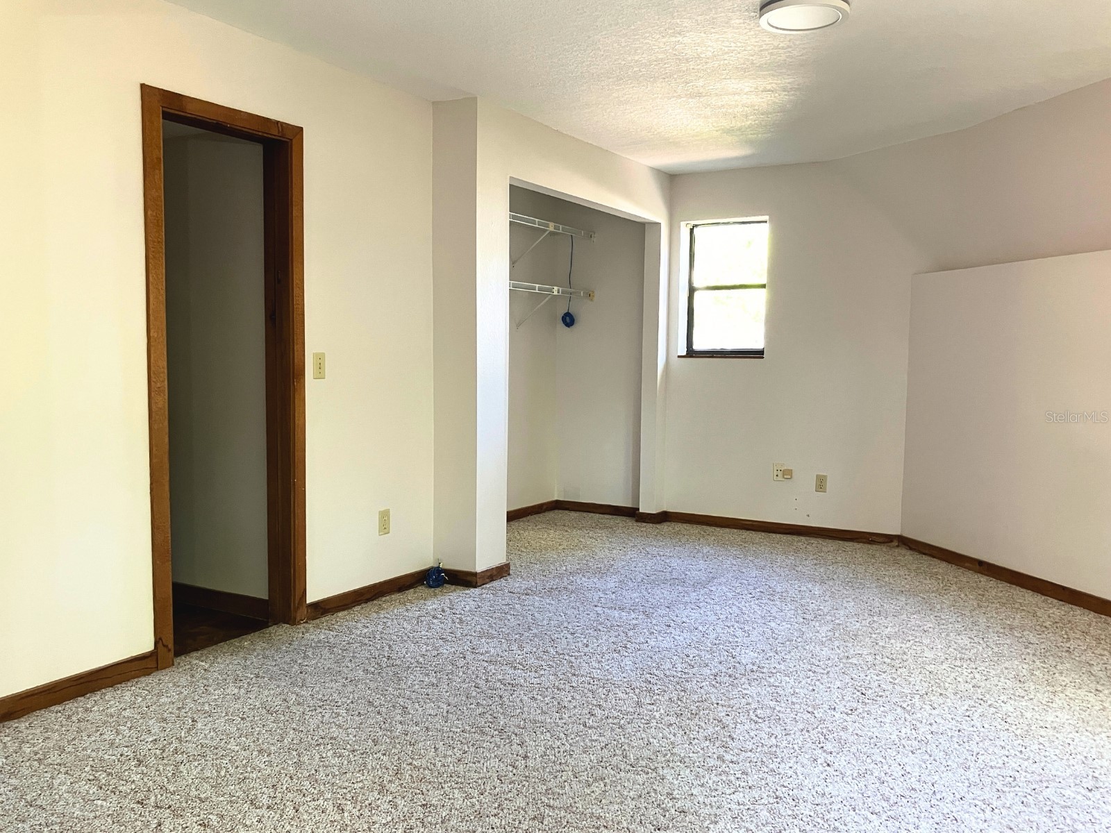 21004 Negril Court Lutz FL 33558 TB8485740 image17