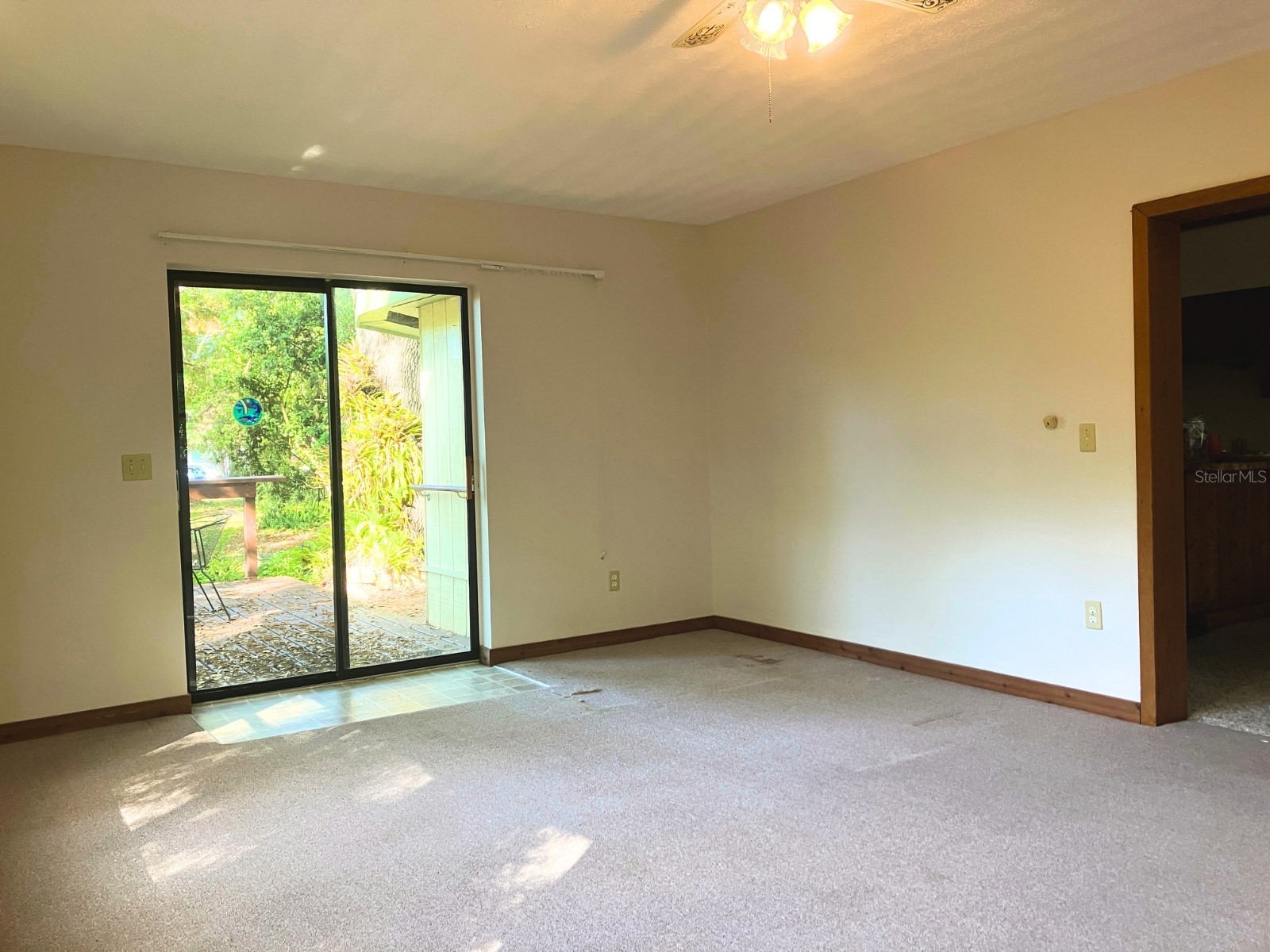 21004 Negril Court Lutz FL 33558 TB8485740 image20