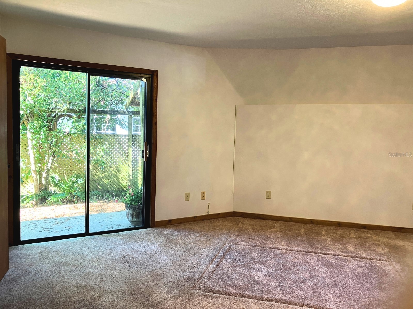 21004 Negril Court Lutz FL 33558 TB8485740 image23
