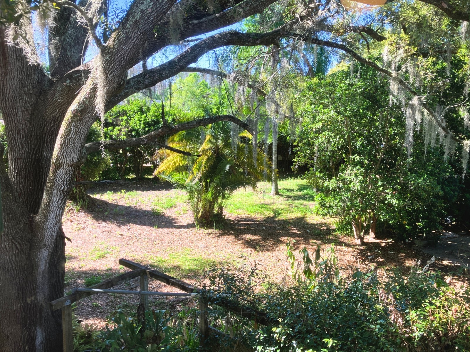 21004 Negril Court Lutz FL 33558 TB8485740 image35
