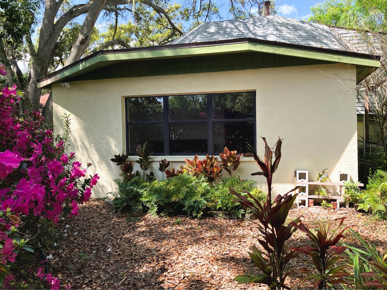 21004 Negril Court Lutz FL 33558 TB8485740 image7