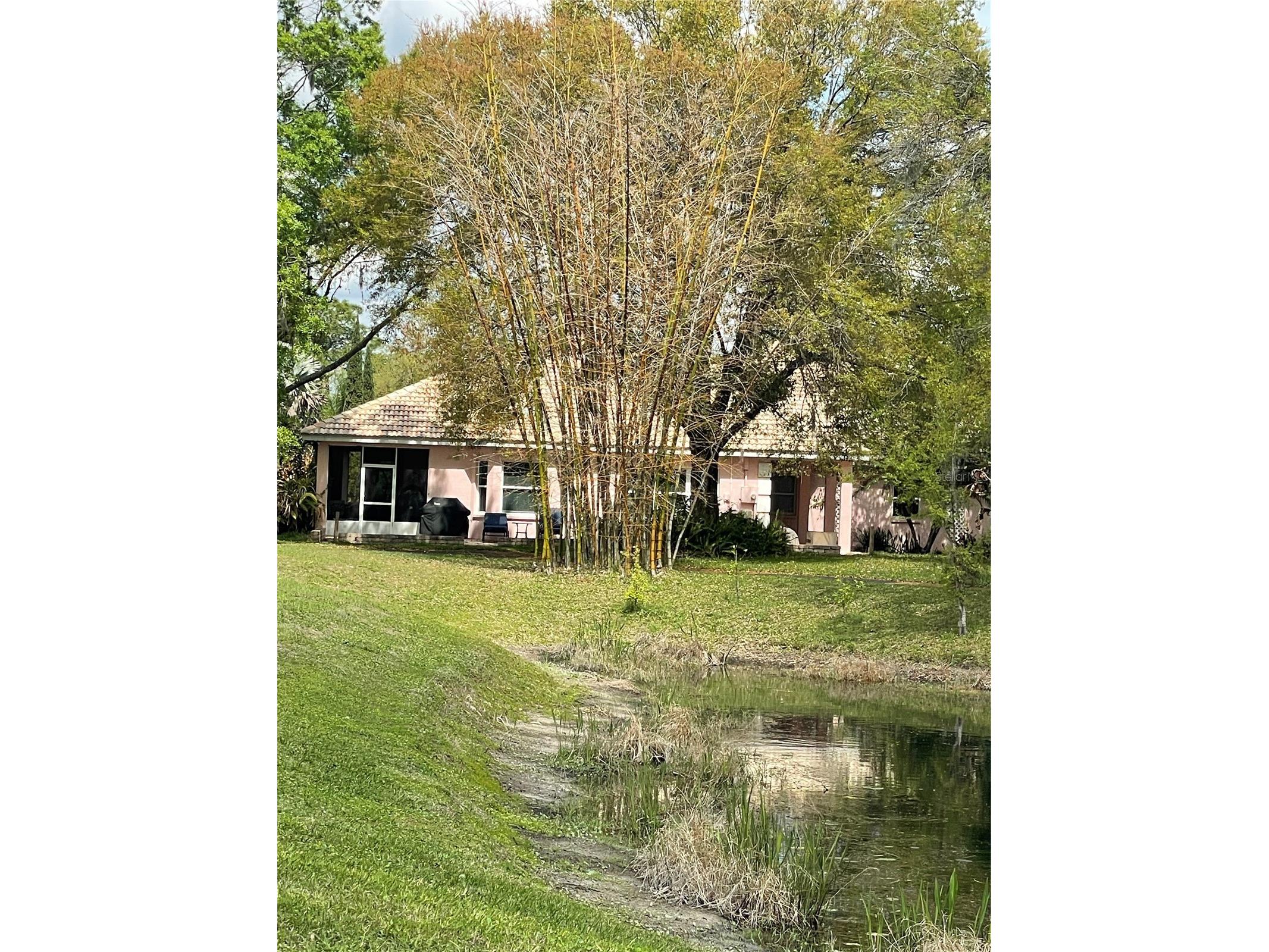 21007 Los Cabos Court Land O Lakes FL 34637 TB8486912 image2