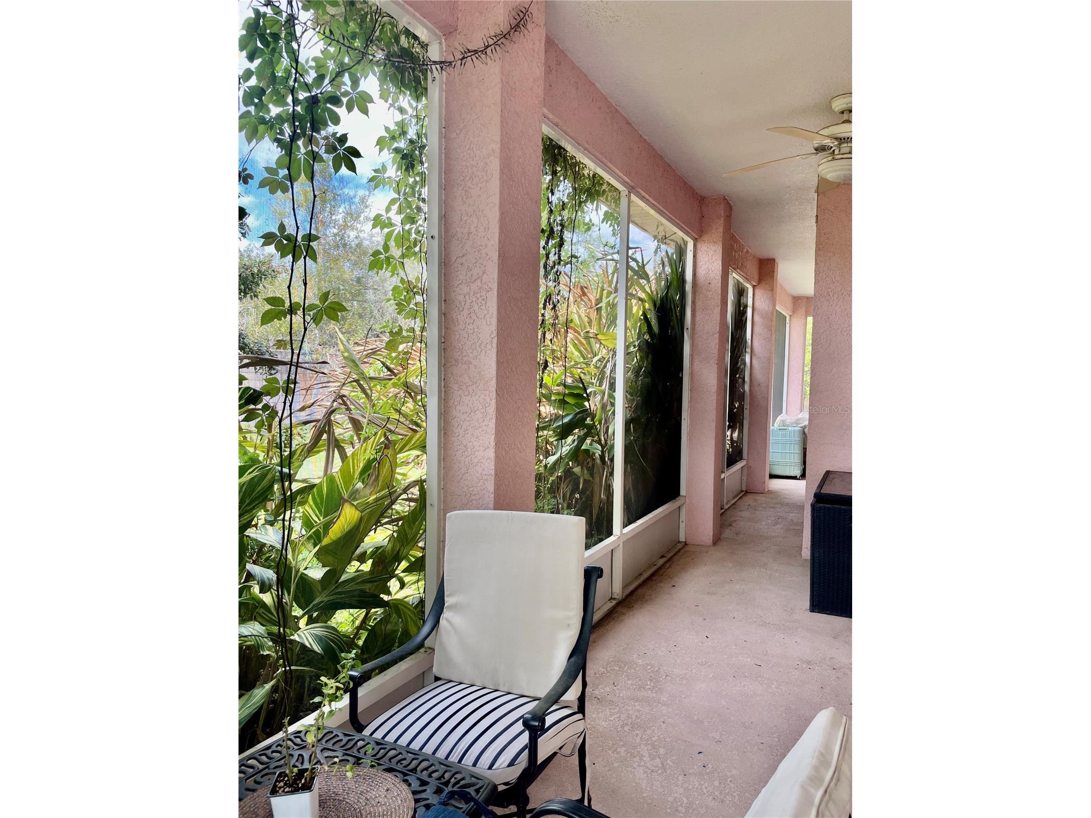 21007 Los Cabos Court Land O Lakes FL 34637 TB8486912 image3