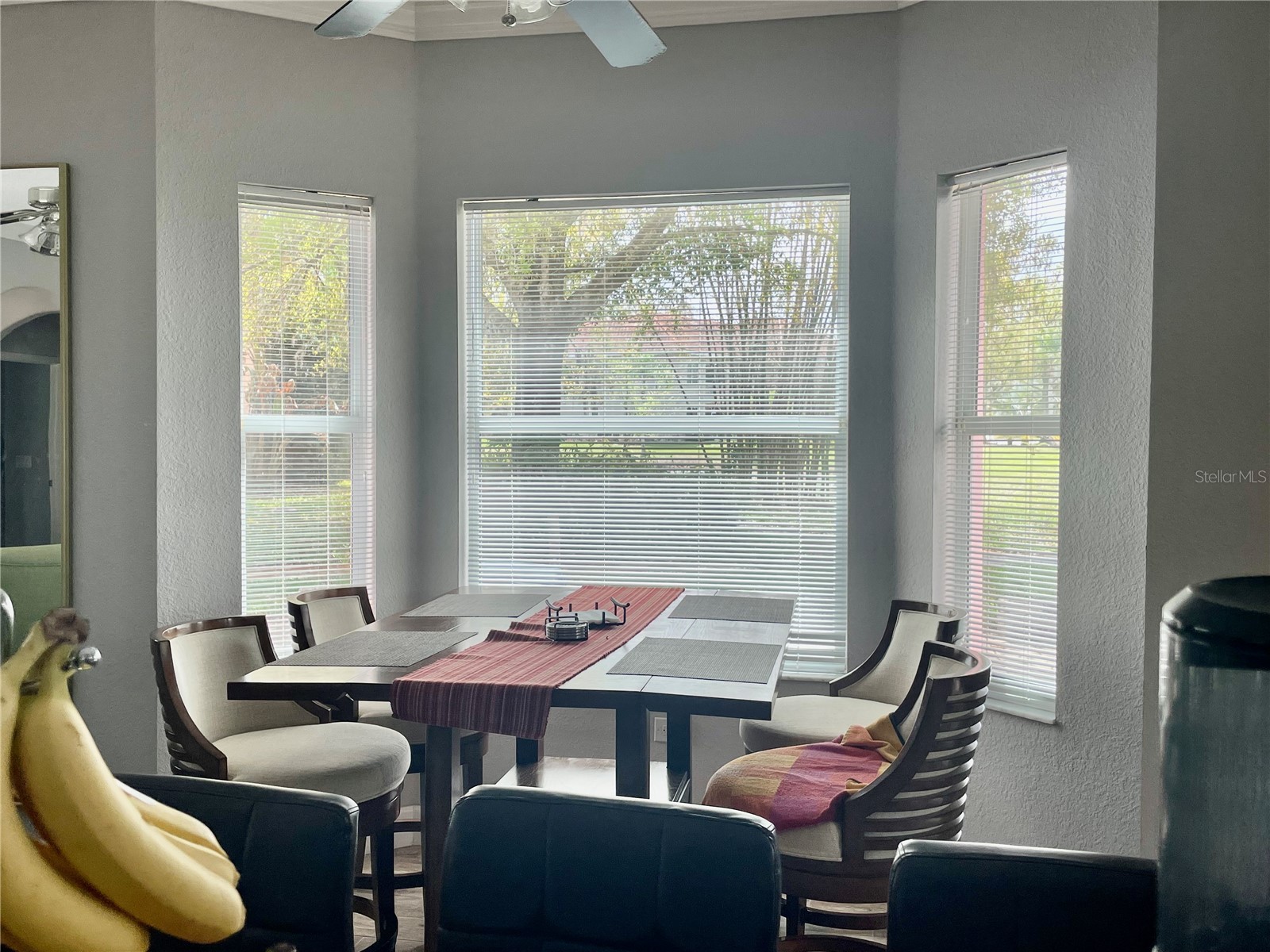 21007 Los Cabos Court Land O Lakes FL 34637 TB8486912 image5