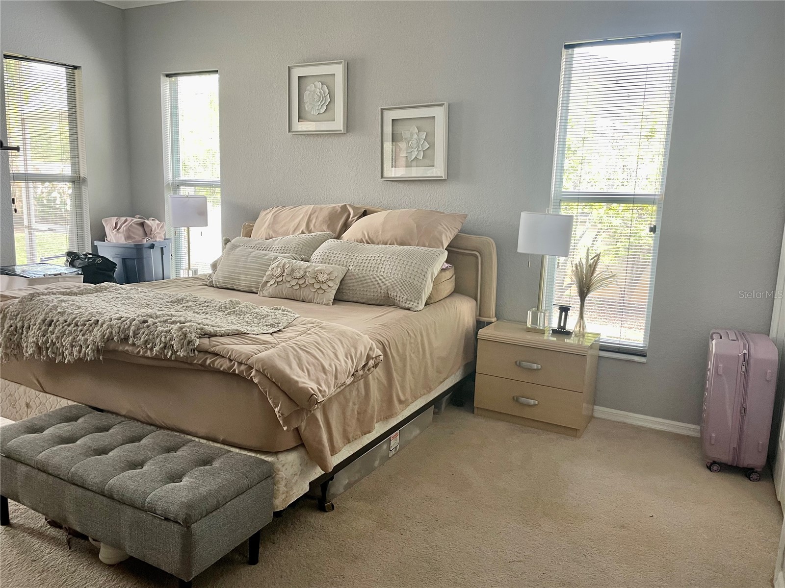 21007 Los Cabos Court Land O Lakes FL 34637 TB8486912 image8