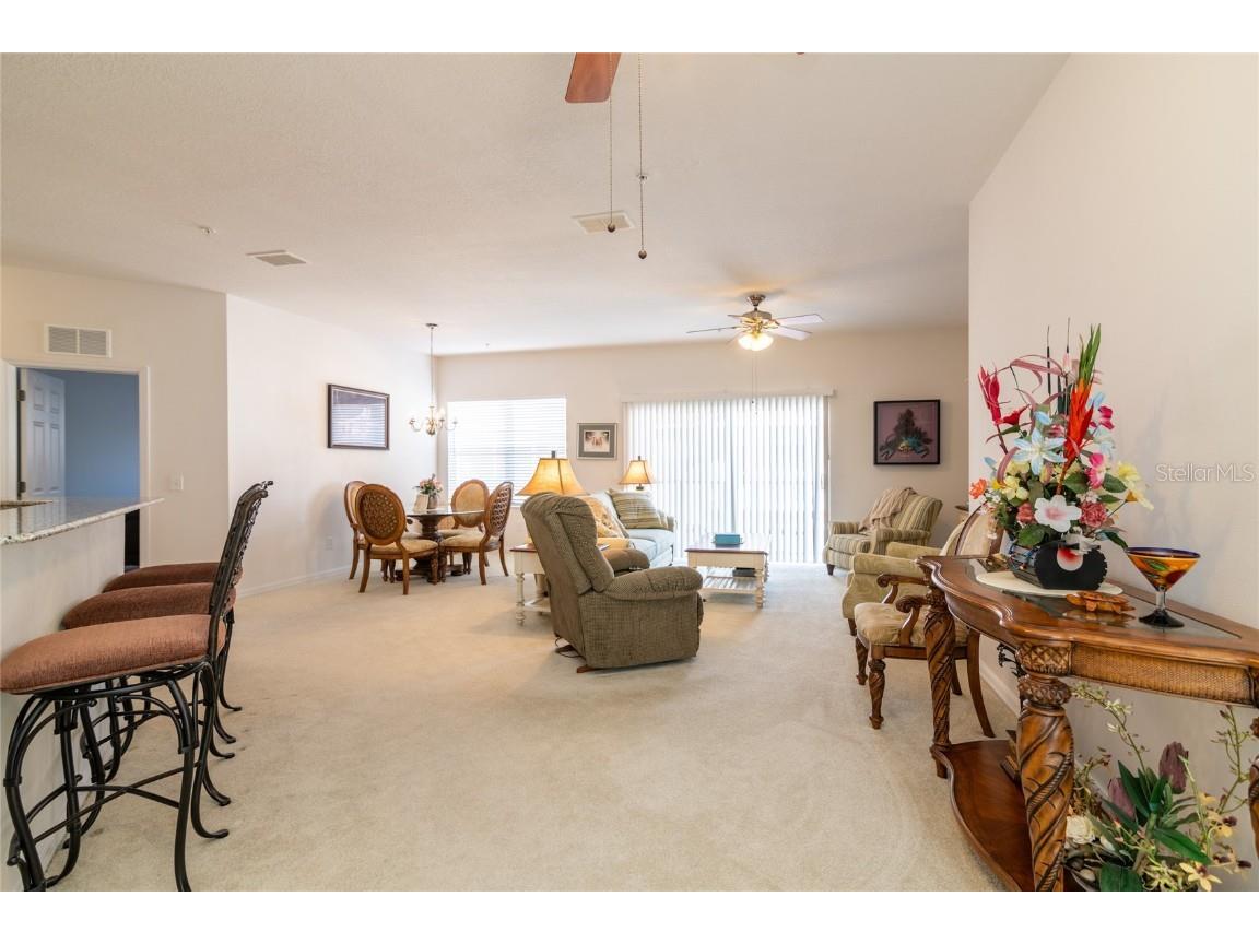 21008 Sunpoint Way #203 Lutz FL 33558 TB8436287 image11