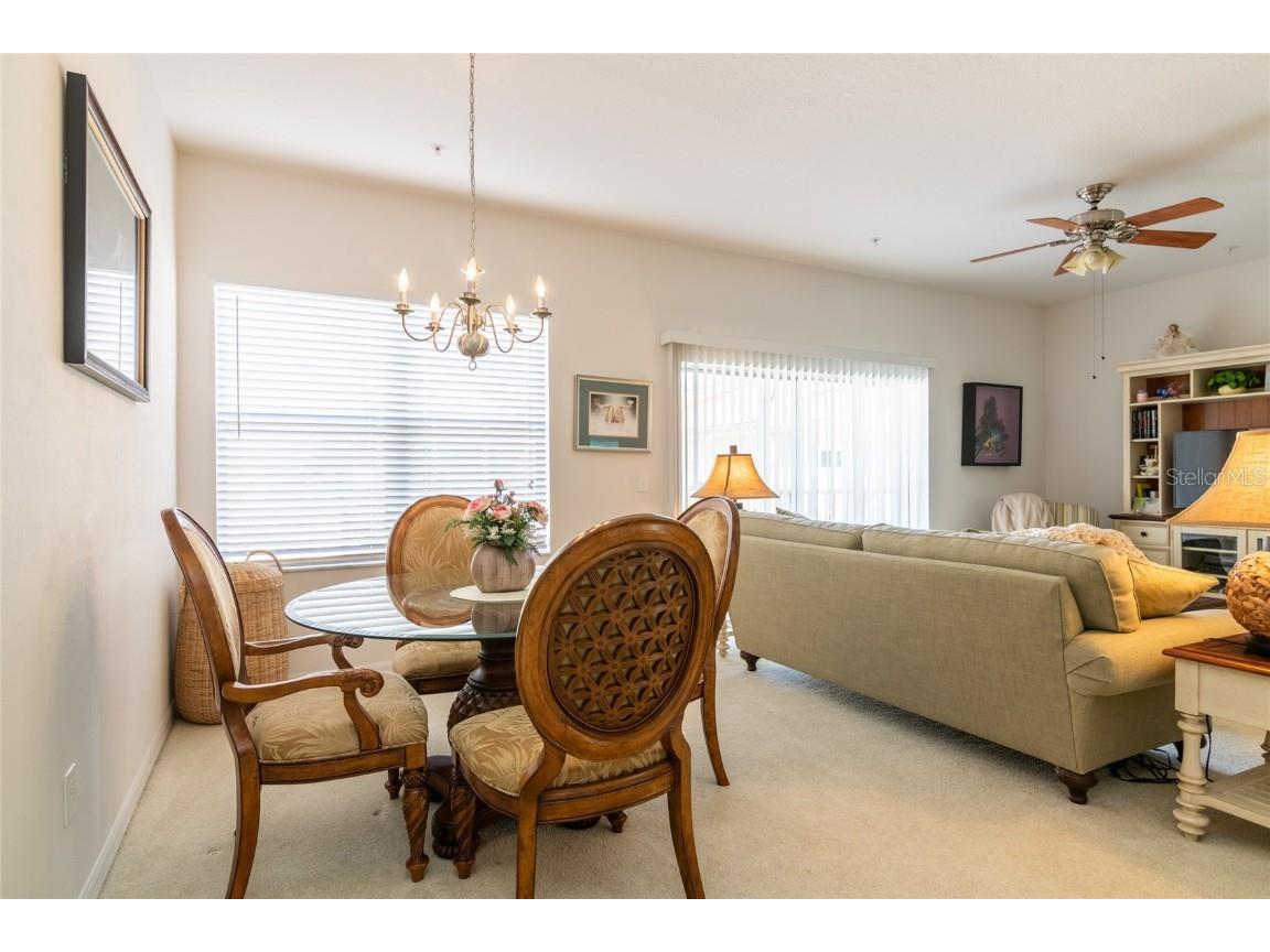 21008 Sunpoint Way #203 Lutz FL 33558 TB8436287 image12