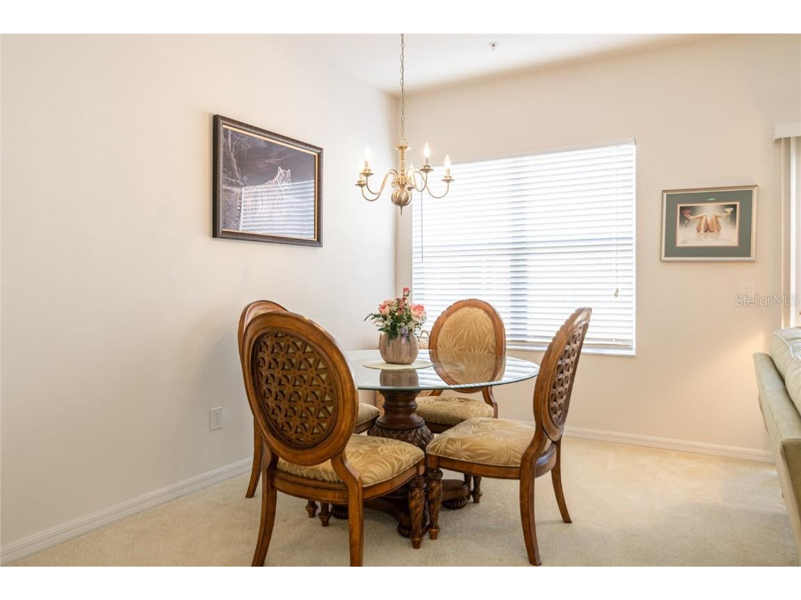 21008 Sunpoint Way #203 Lutz FL 33558 TB8436287 image13