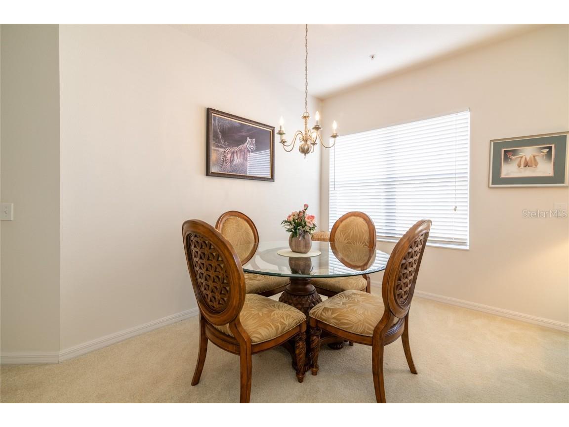 21008 Sunpoint Way #203 Lutz FL 33558 TB8436287 image14