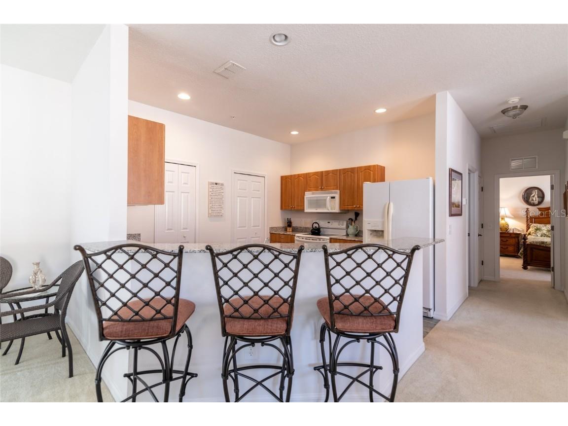 21008 Sunpoint Way #203 Lutz FL 33558 TB8436287 image15