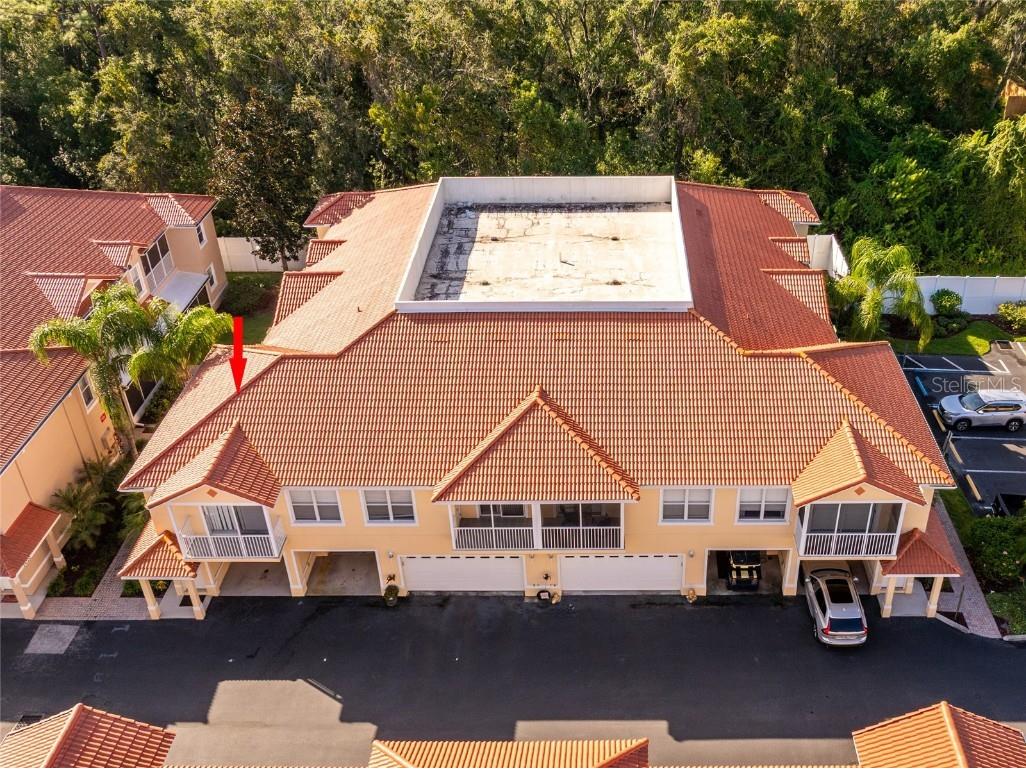 21008 Sunpoint Way #203 Lutz FL 33558 TB8436287 image3