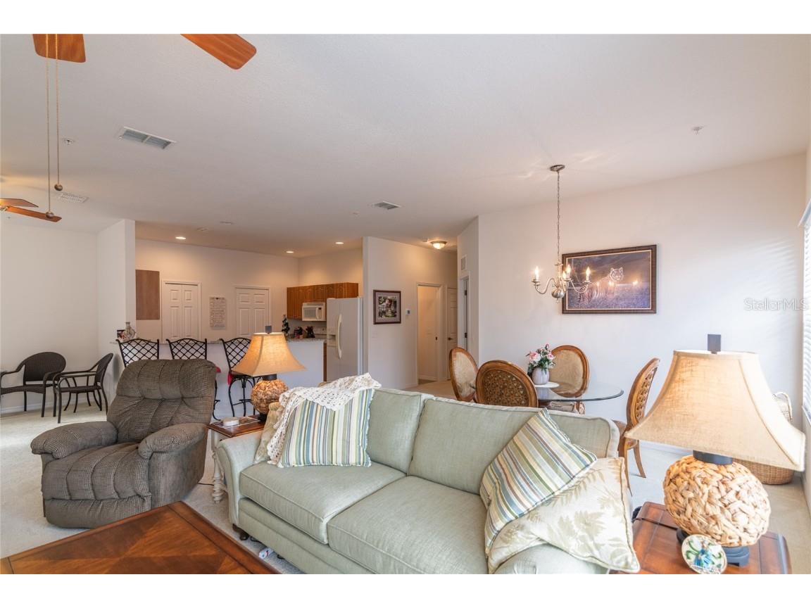 21008 Sunpoint Way #203 Lutz FL 33558 TB8436287 image7