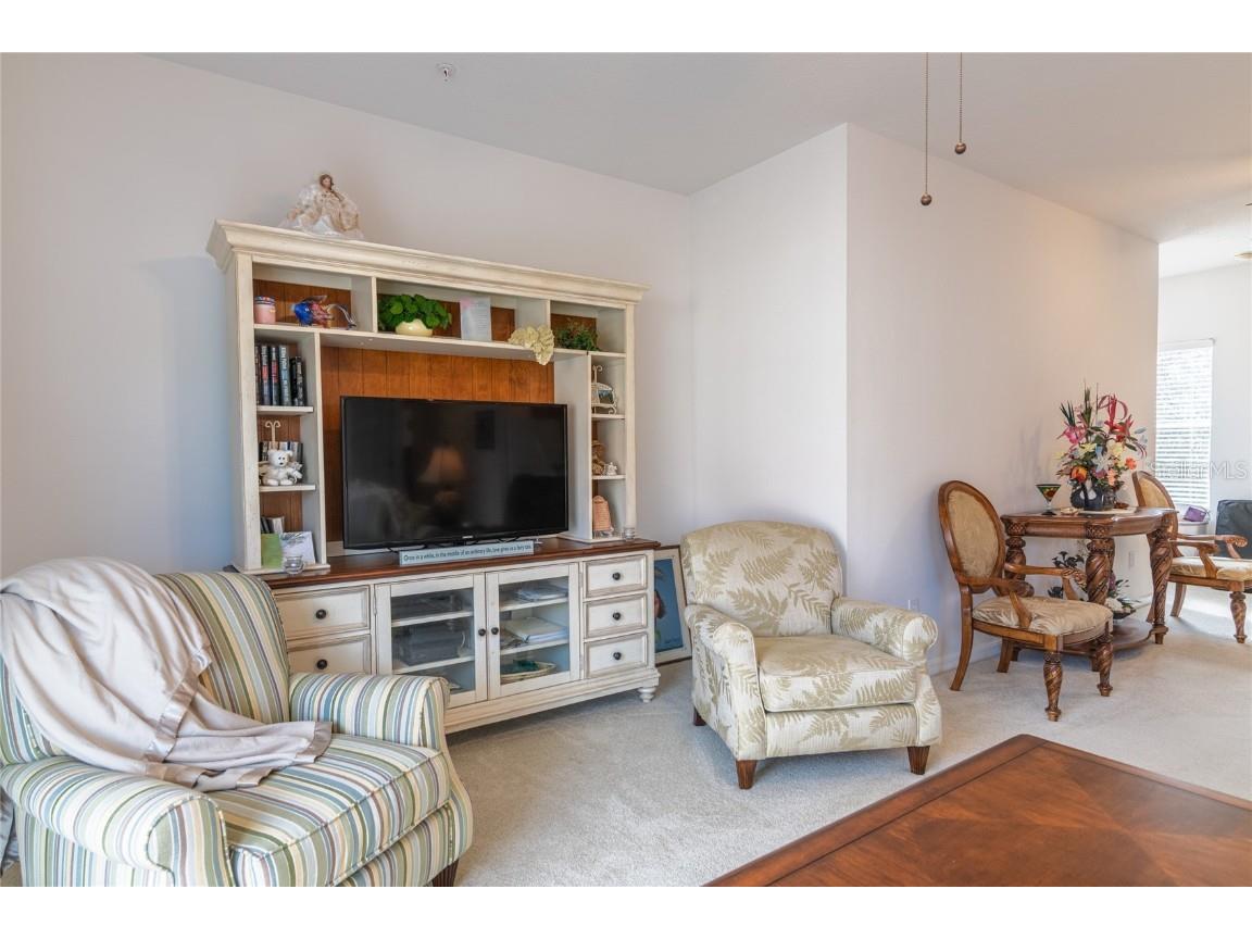 21008 Sunpoint Way #203 Lutz FL 33558 TB8436287 image8