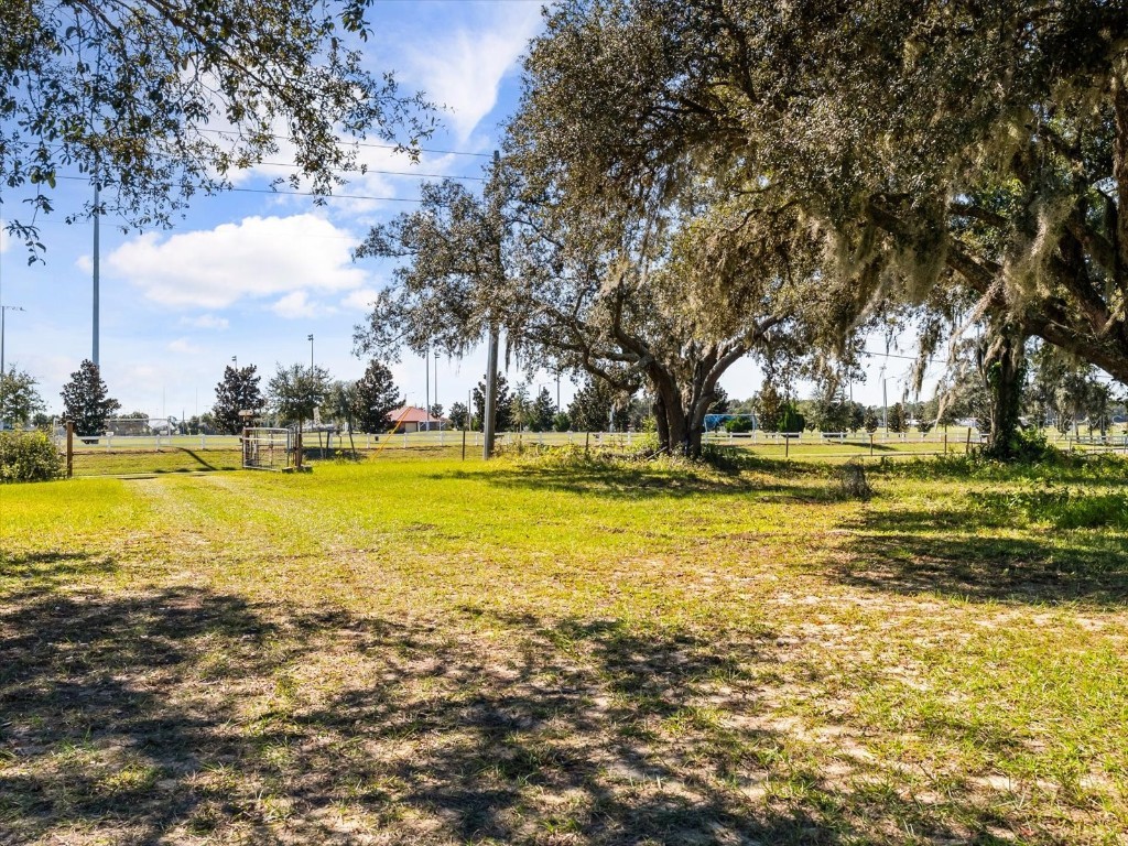 2101 Appy Lane Apopka FL 32712 O6347676 image32