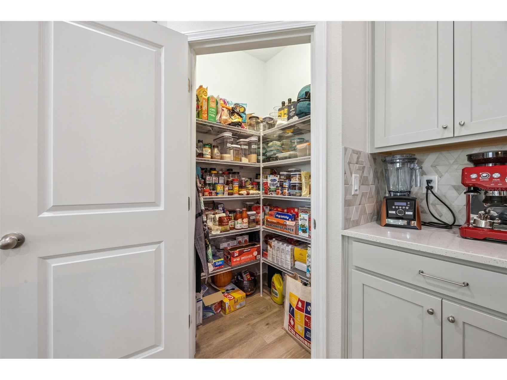 2101 Axel Street Clermont FL 34715 O6403922 image20