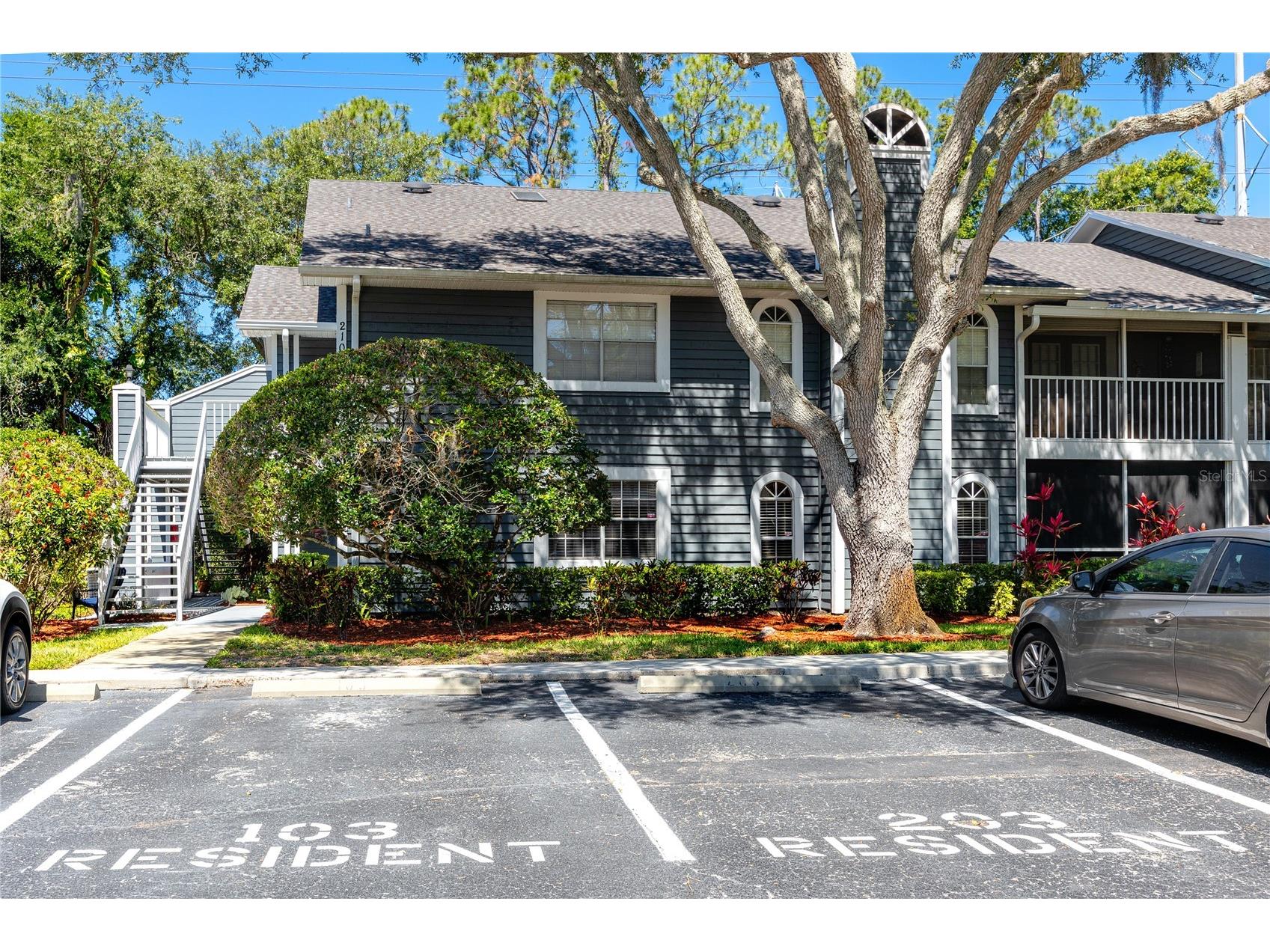 2101 Fox Chase Boulevard #107 Palm Harbor FL 34683 TB8506920 image1