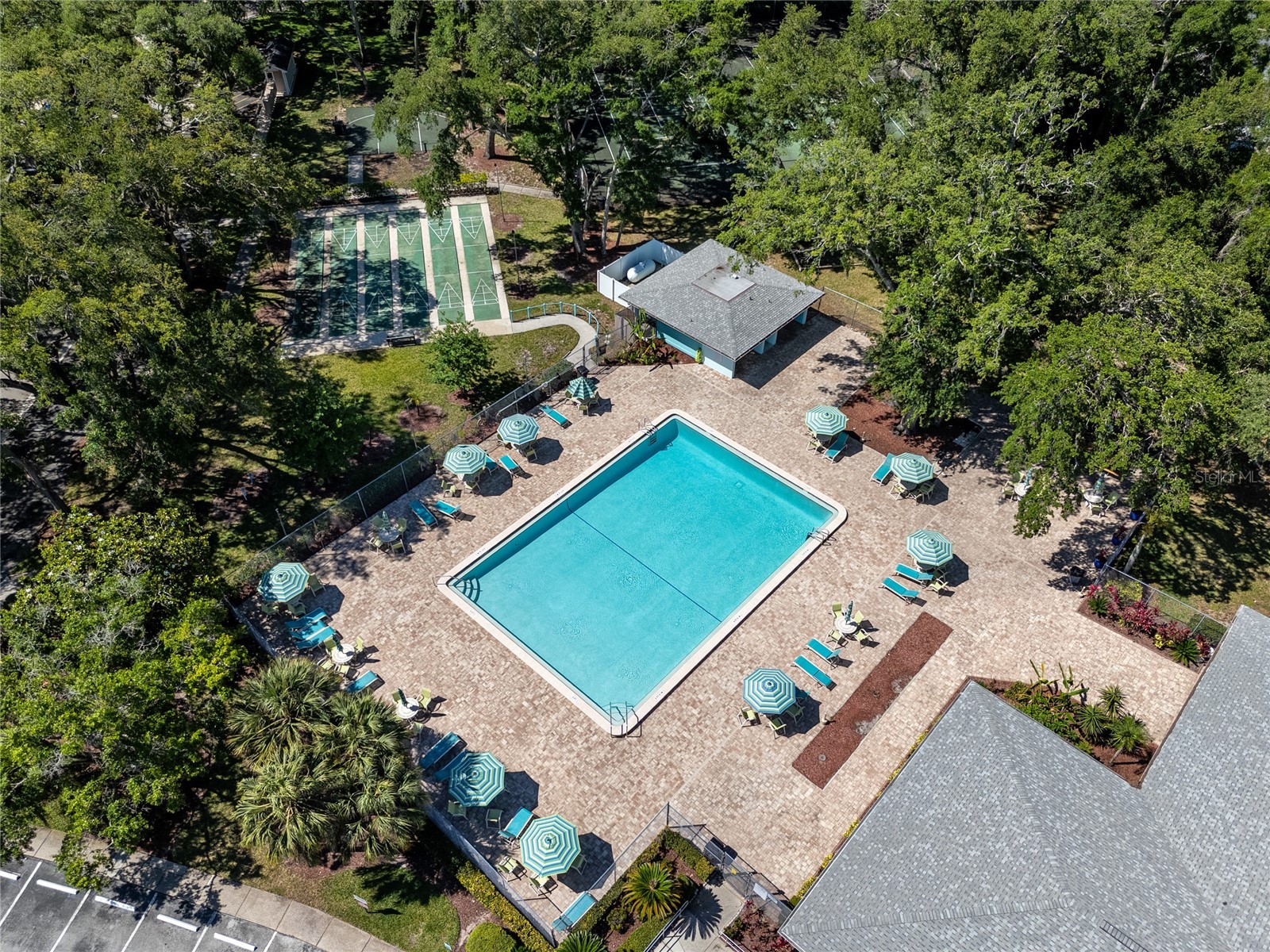2101 Fox Chase Boulevard #107 Palm Harbor FL 34683 TB8506920 image43