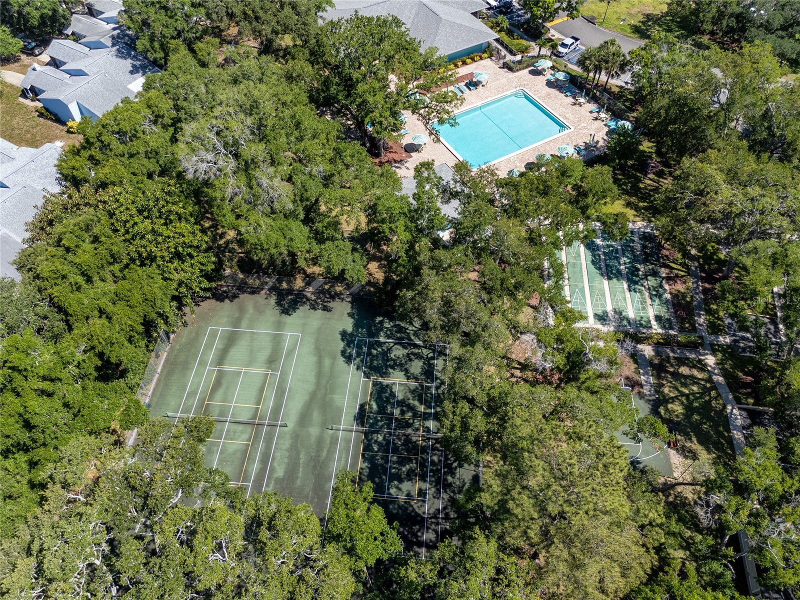 2101 Fox Chase Boulevard #107 Palm Harbor FL 34683 TB8506920 image44
