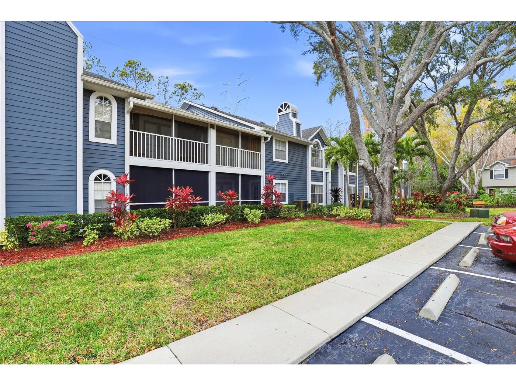 2101 Fox Chase Boulevard #204 Palm Harbor FL 34683 TB8469207 image2