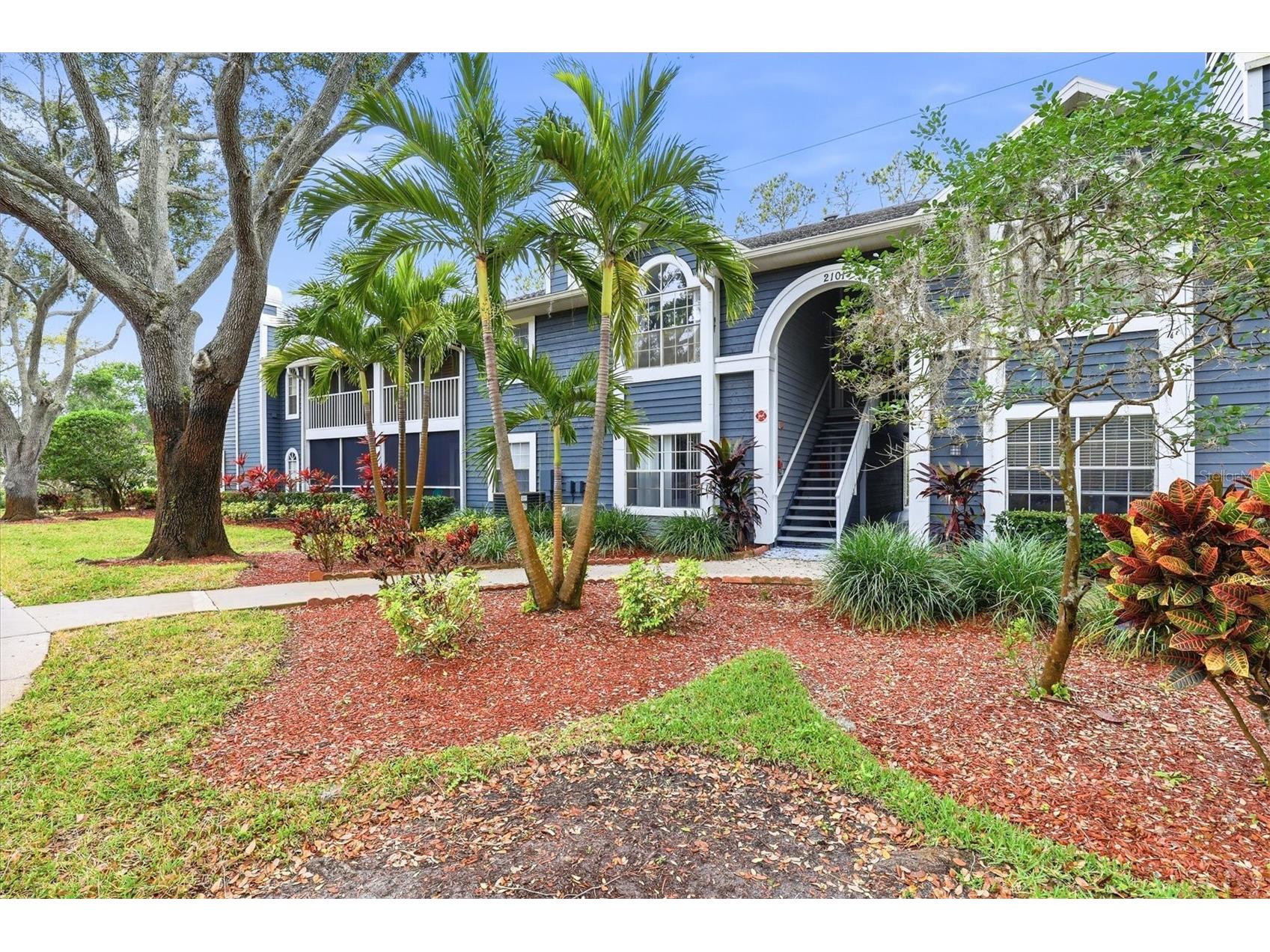 2101 Fox Chase Boulevard #204 Palm Harbor FL 34683 TB8469207 image3