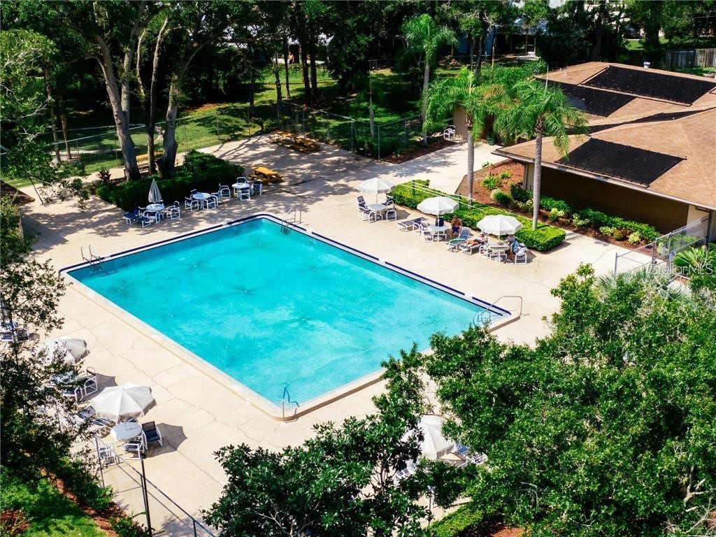 2101 Fox Chase Boulevard #204 Palm Harbor FL 34683 TB8469207 image34