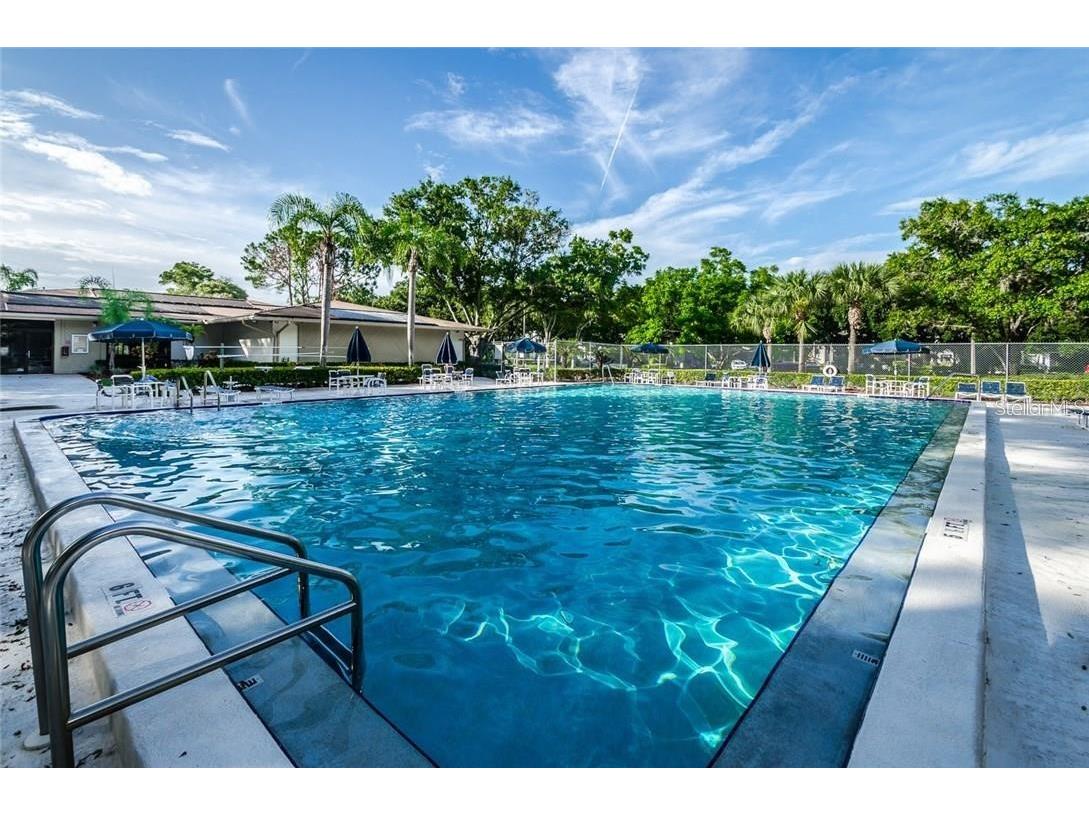 2101 Fox Chase Boulevard #204 Palm Harbor FL 34683 TB8469207 image35