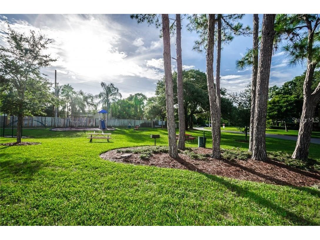 2101 Fox Chase Boulevard #204 Palm Harbor FL 34683 TB8469207 image37