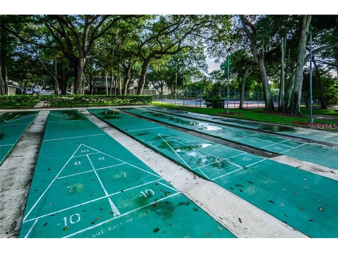 2101 Fox Chase Boulevard #204 Palm Harbor FL 34683 TB8469207 image38