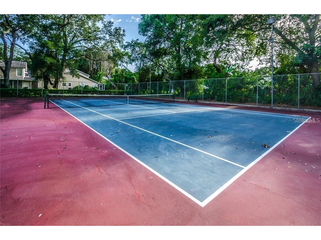 2101 Fox Chase Boulevard #204 Palm Harbor FL 34683 TB8469207 image39