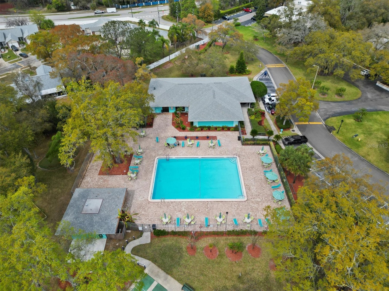 2101 Fox Chase Boulevard #204 Palm Harbor FL 34683 TB8469207 image41