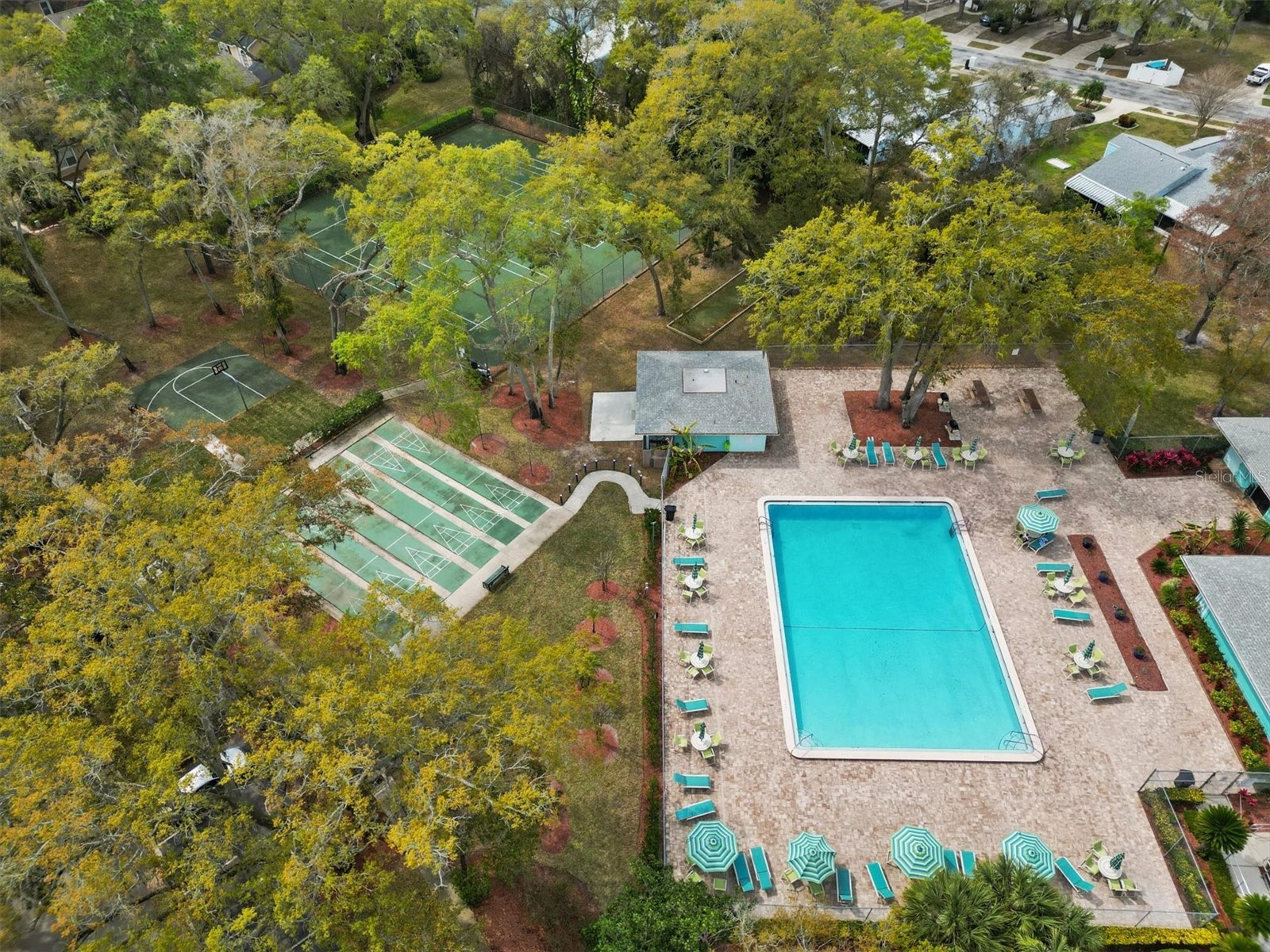 2101 Fox Chase Boulevard #204 Palm Harbor FL 34683 TB8469207 image42