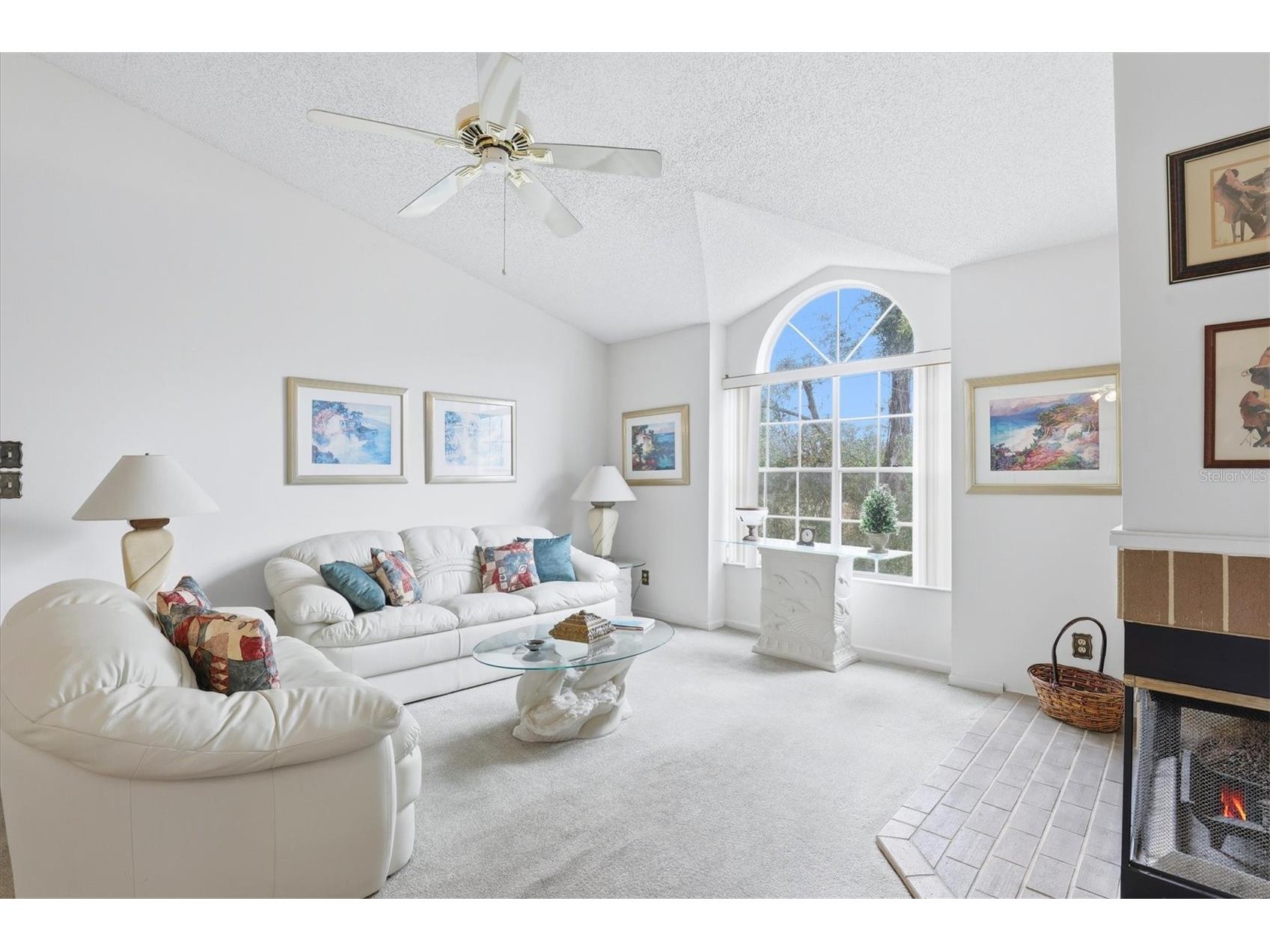 2101 Fox Chase Boulevard #204 Palm Harbor FL 34683 TB8469207 image8