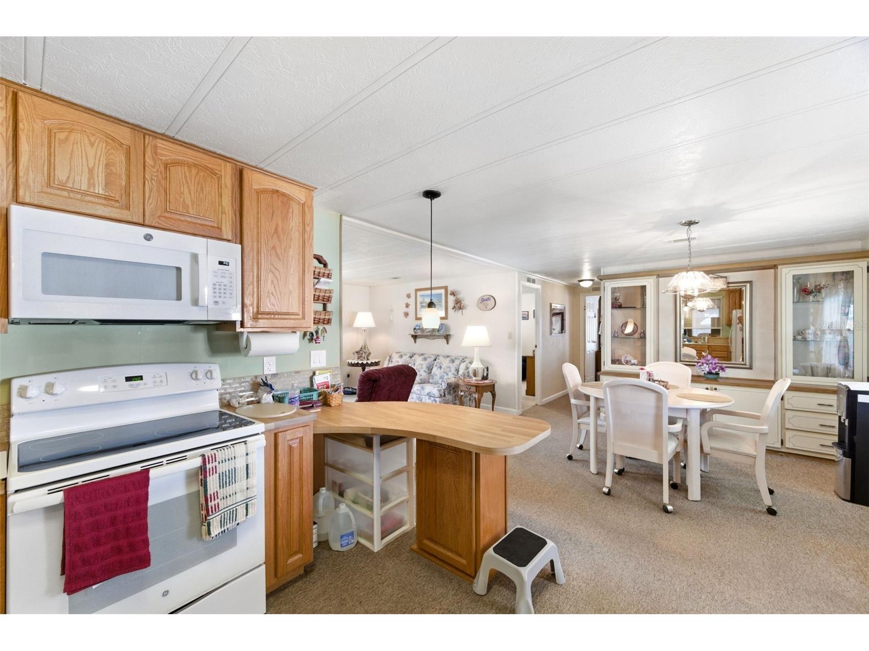2101 Kona Dr Holiday FL 34691 W7884636 image25