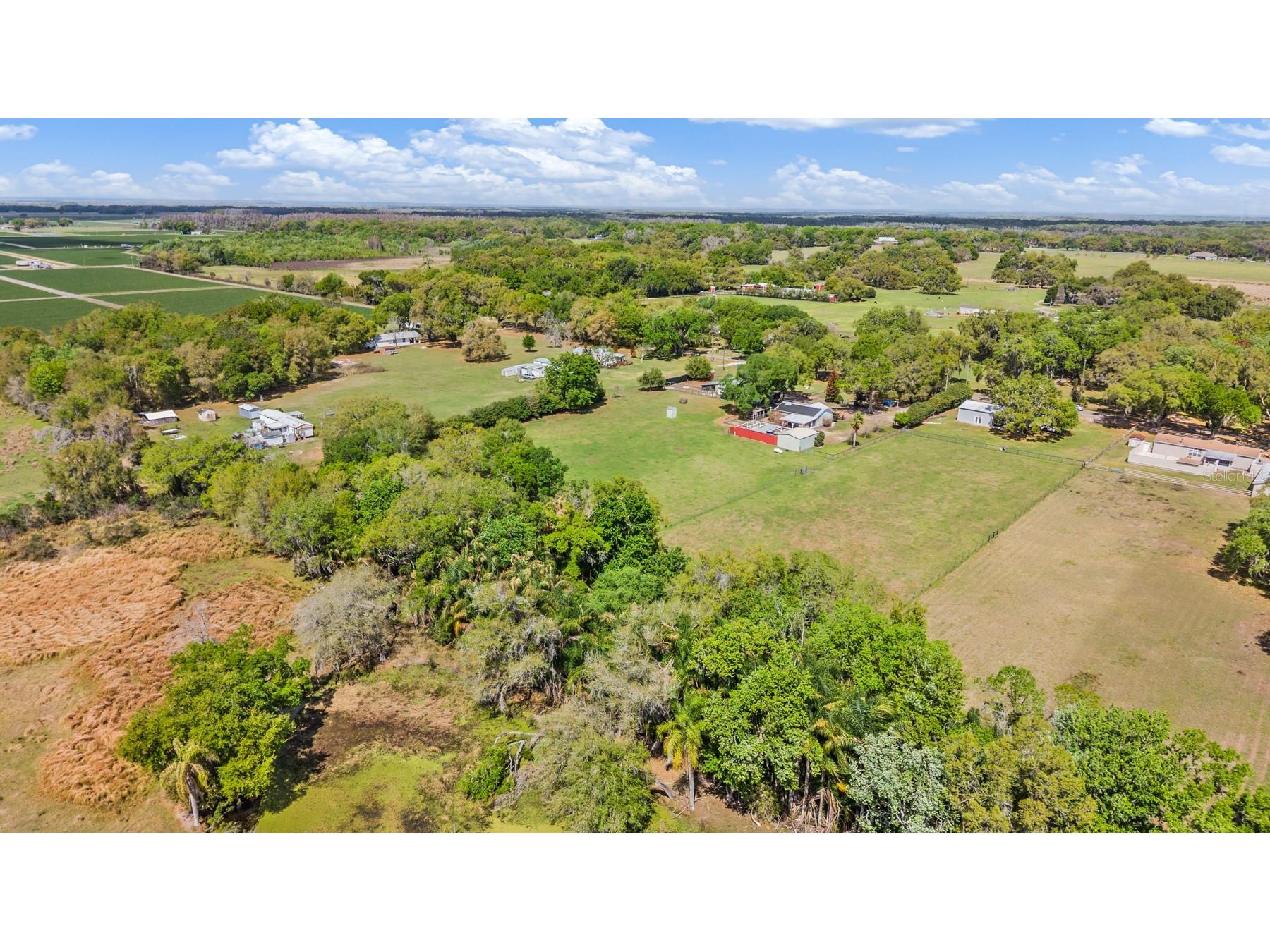 2101 Lanier Road Plant City FL 33565 TB8514471 image8