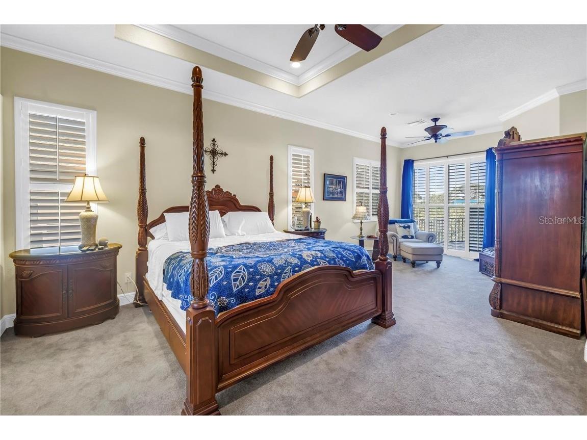 2101 N Pointe Alexis Drive Tarpon Springs FL 34689 TB8433519 image13