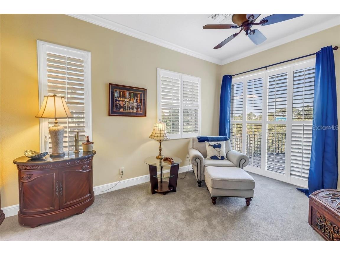 2101 N Pointe Alexis Drive Tarpon Springs FL 34689 TB8433519 image14