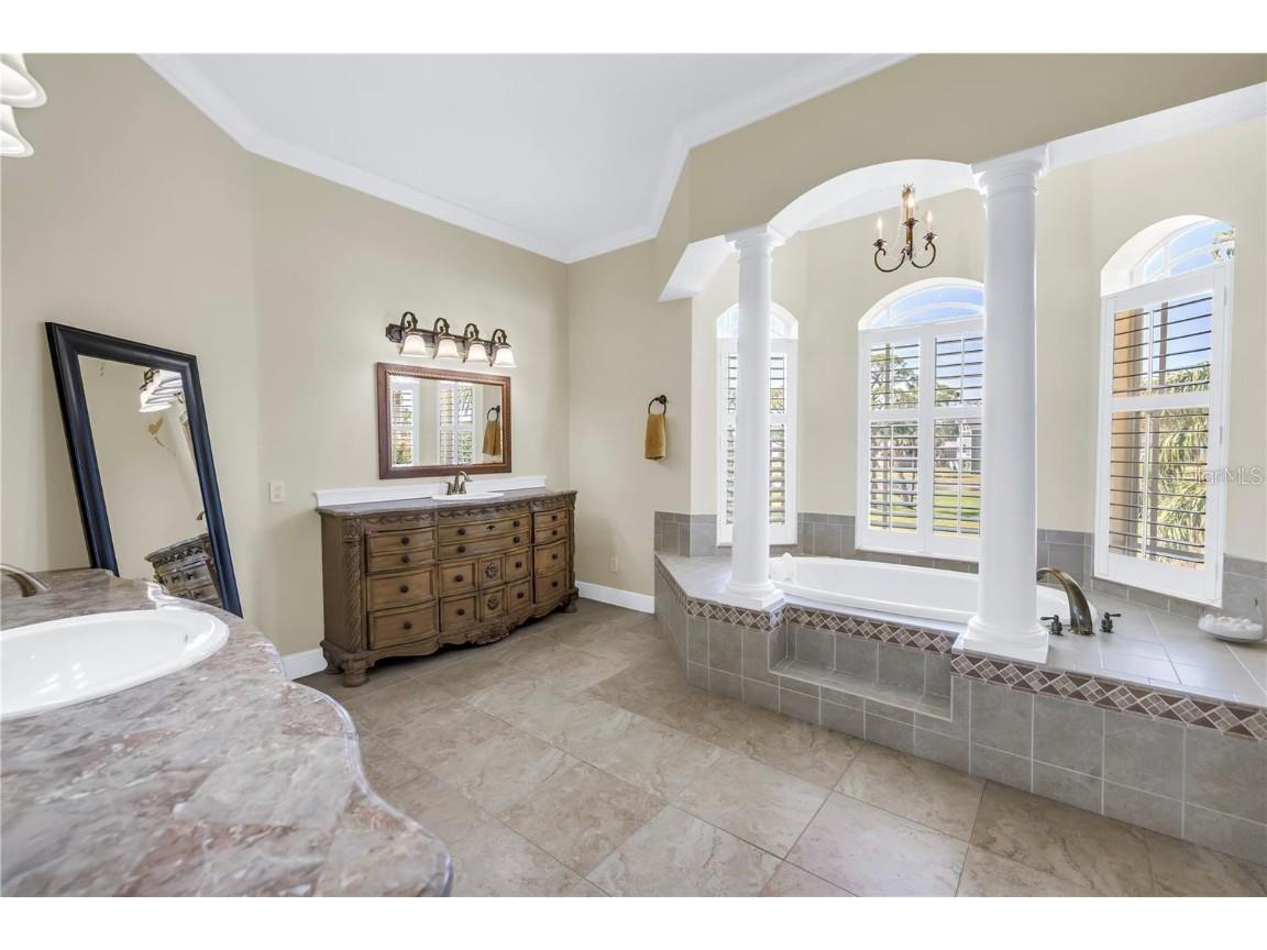 2101 N Pointe Alexis Drive Tarpon Springs FL 34689 TB8433519 image16