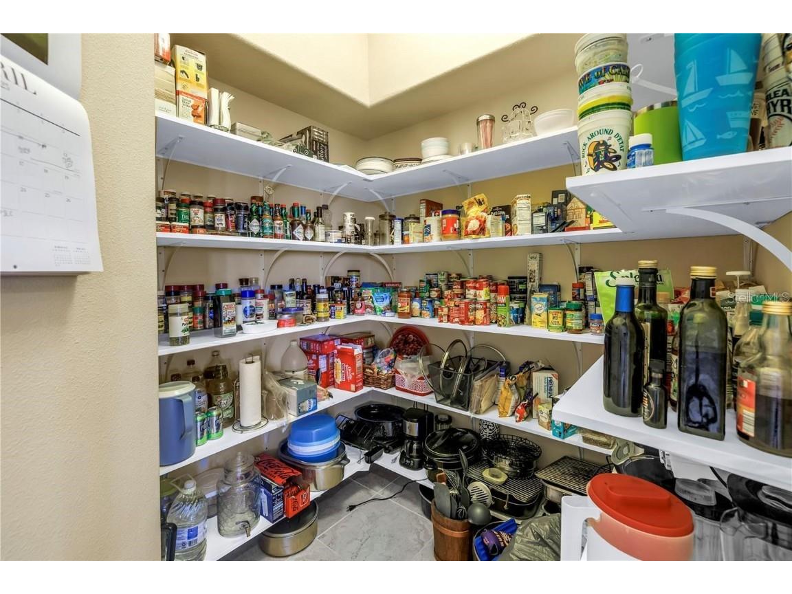 2101 N Pointe Alexis Drive Tarpon Springs FL 34689 TB8433519 image20