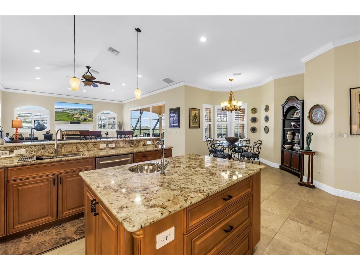 2101 N Pointe Alexis Drive Tarpon Springs FL 34689 TB8433519 image29