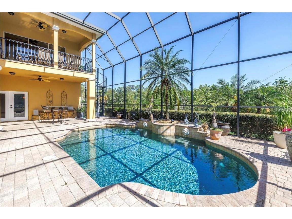 2101 N Pointe Alexis Drive Tarpon Springs FL 34689 TB8433519 image3