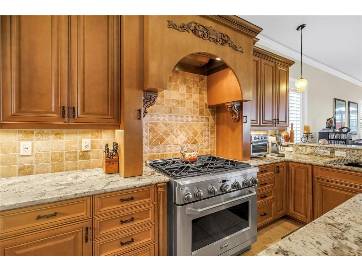 2101 N Pointe Alexis Drive Tarpon Springs FL 34689 TB8433519 image30