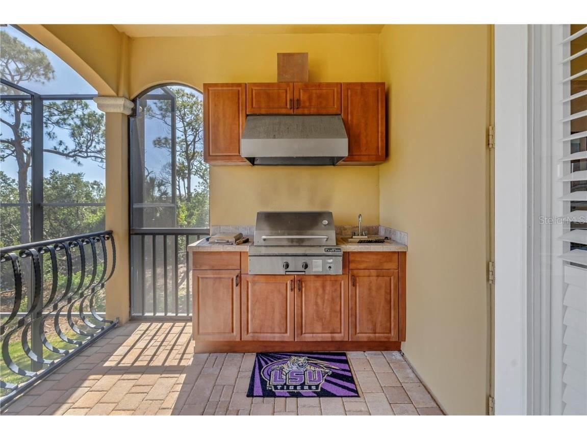 2101 N Pointe Alexis Drive Tarpon Springs FL 34689 TB8433519 image39