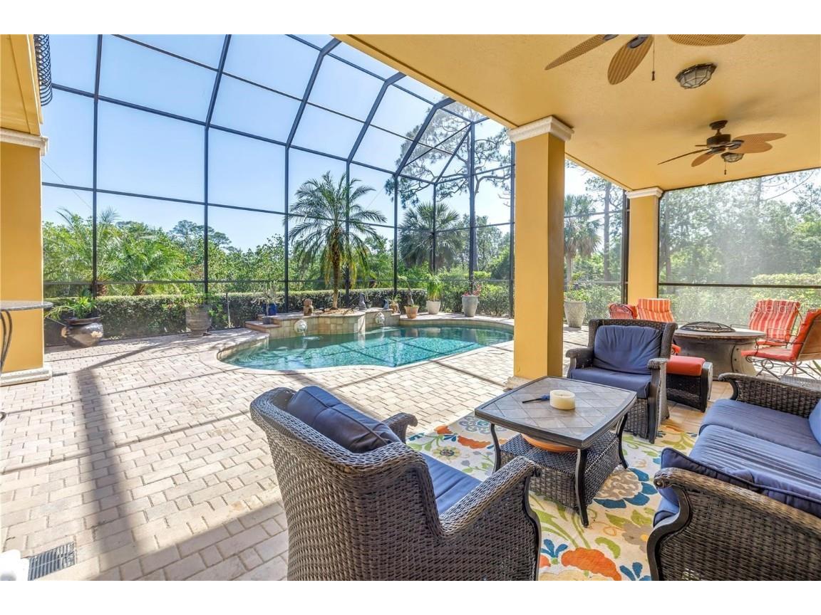 2101 N Pointe Alexis Drive Tarpon Springs FL 34689 TB8433519 image49