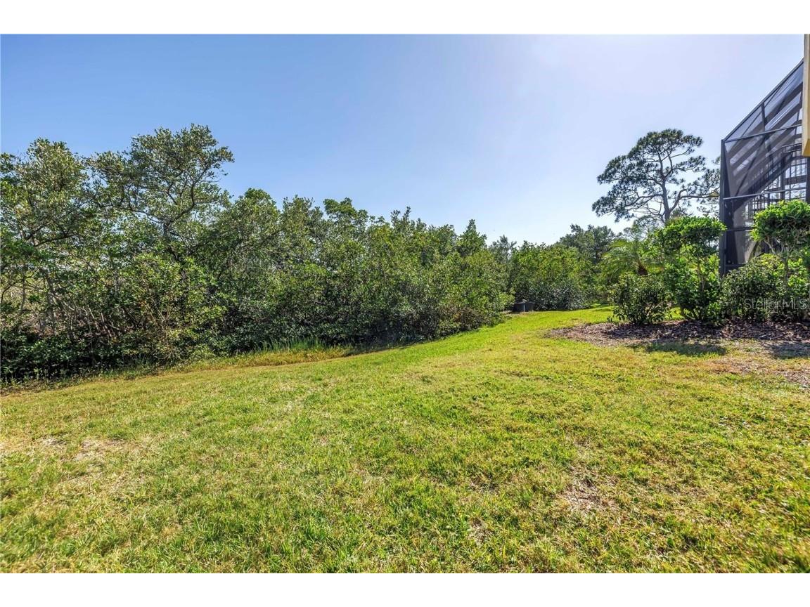 2101 N Pointe Alexis Drive Tarpon Springs FL 34689 TB8433519 image56