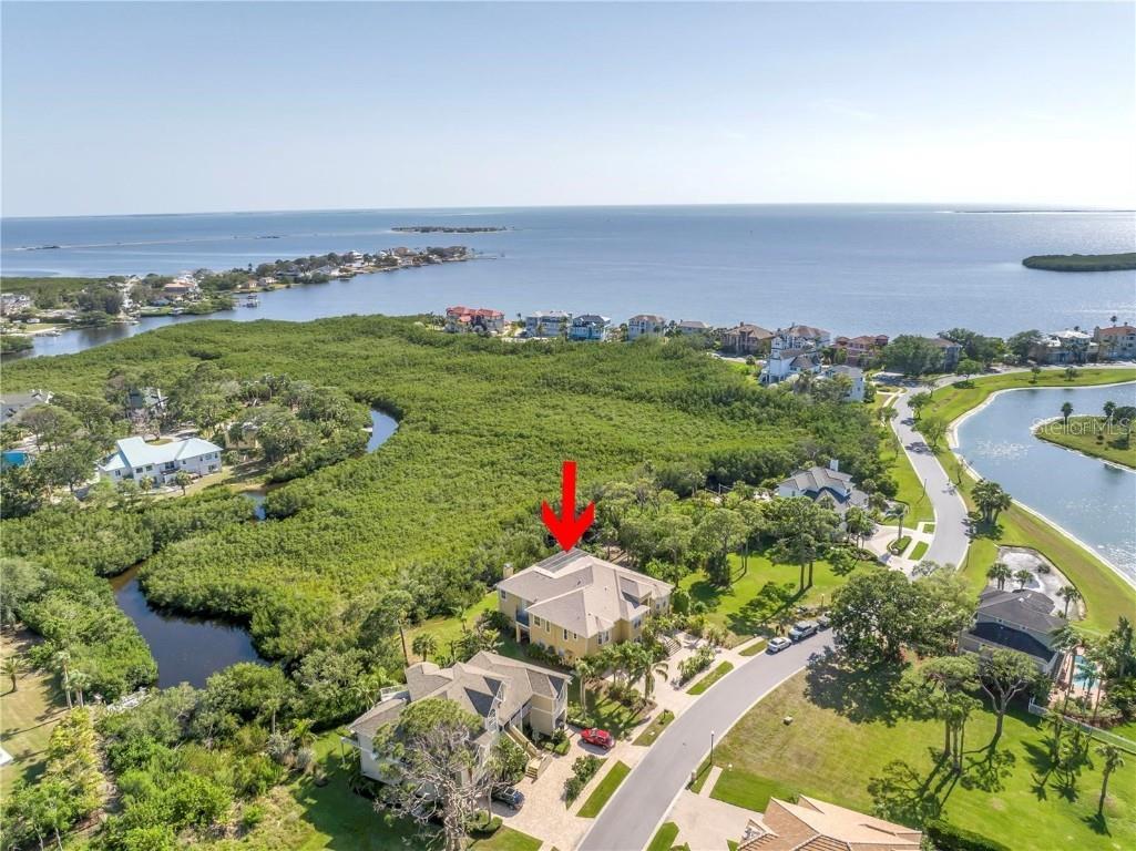 2101 N Pointe Alexis Drive Tarpon Springs FL 34689 TB8433519 image59