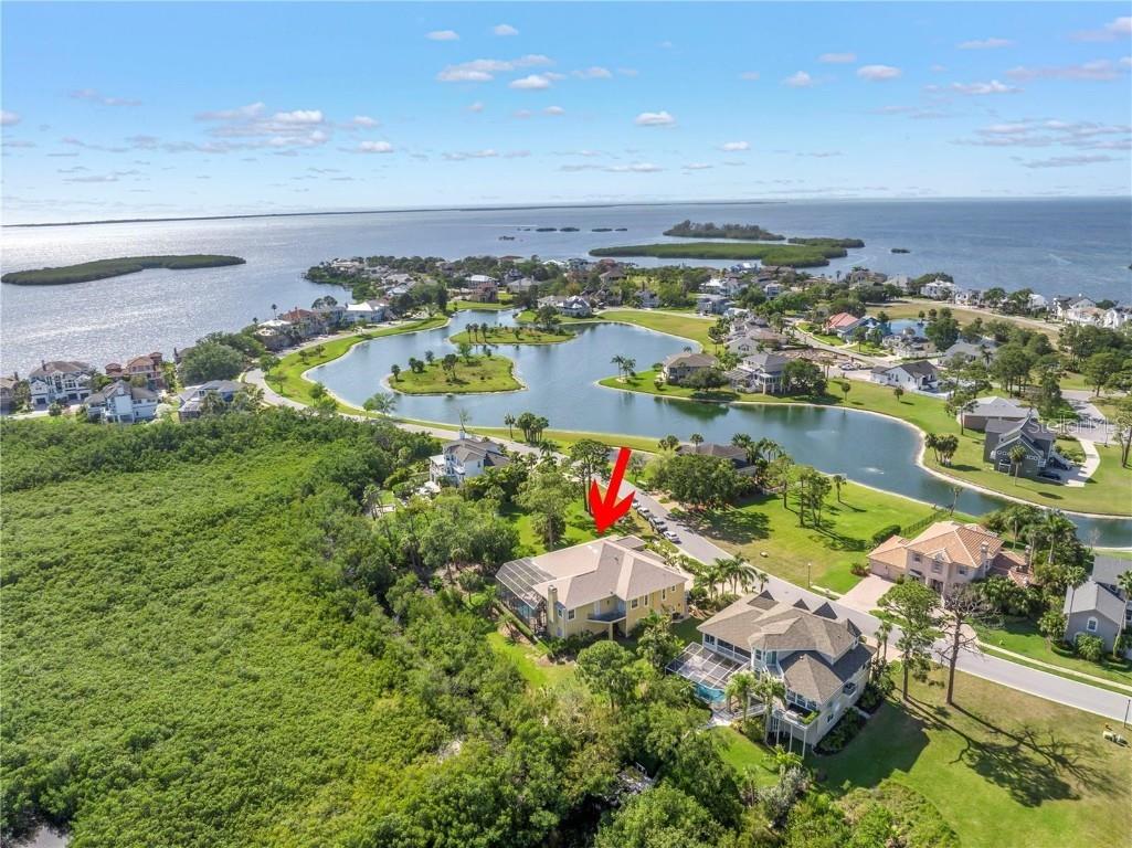 2101 N Pointe Alexis Drive Tarpon Springs FL 34689 TB8433519 image60