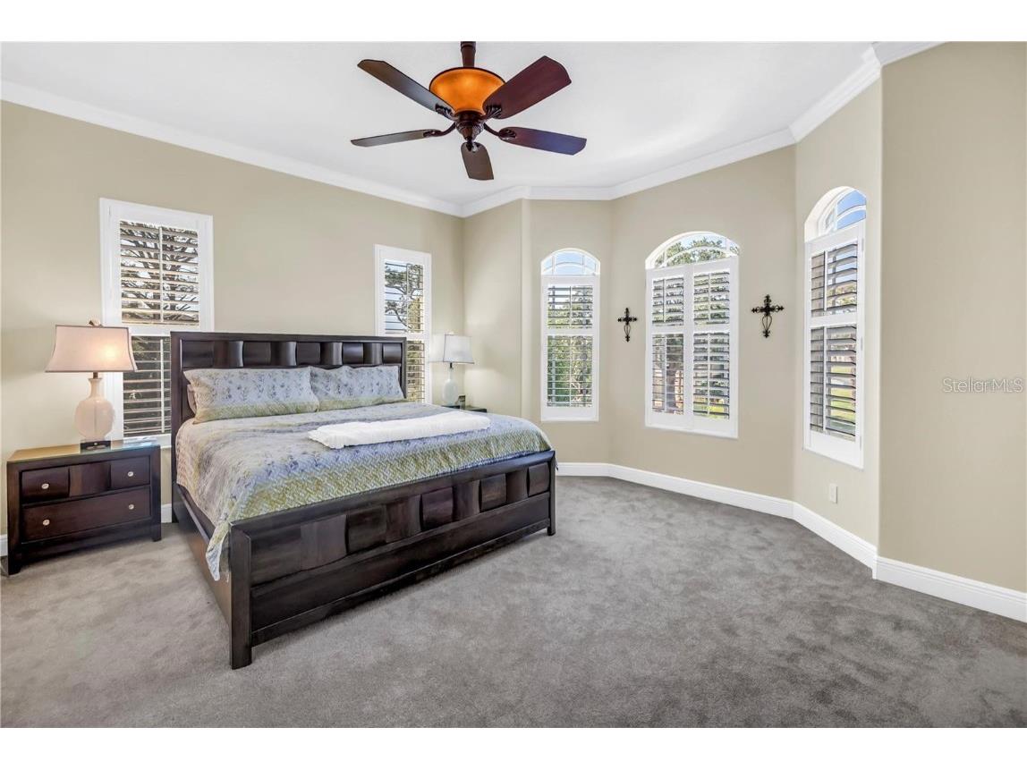 2101 N Pointe Alexis Drive Tarpon Springs FL 34689 TB8433519 image7